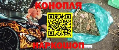 мяу мяу мука Малгобек
