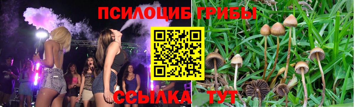 Галлюциногенные грибы мицелий Брянск
