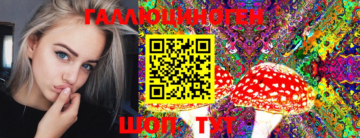 Галлюциногенные грибы Magic Shrooms  Вход с VPN  Псилоцибиновые грибы GOLDEN TEACHER  Брянск 